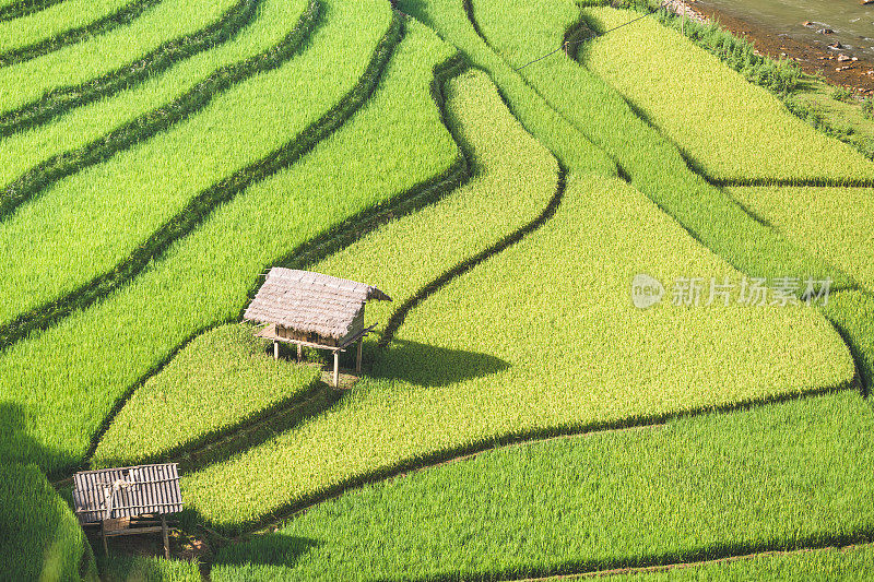 美丽的风景，绿色的稻田准备在越南西北部的梯田日落山在木仓寨，Yen Bai，越南